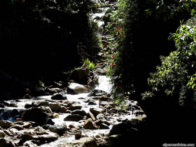 aguas calientes 004